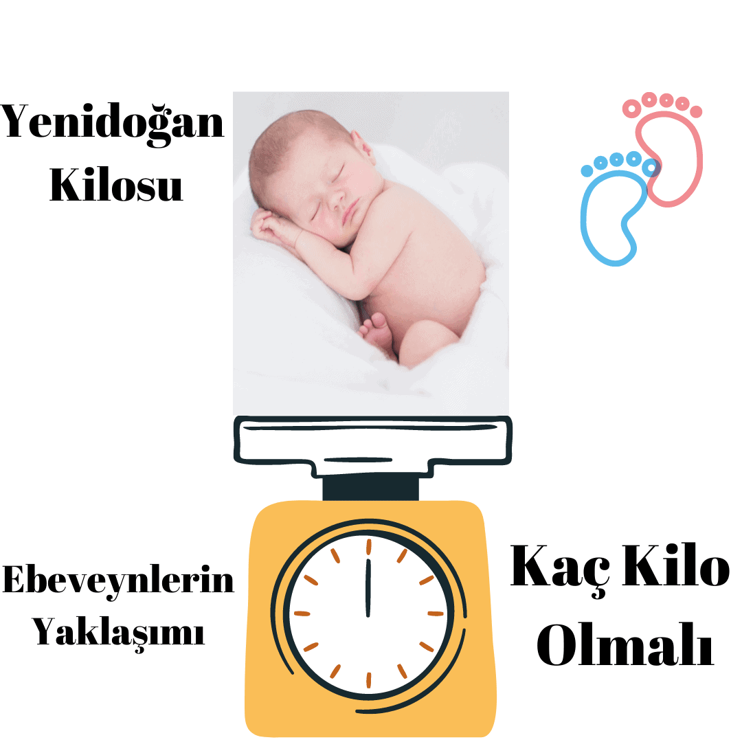 Yenidogan Kilosu Dunya Danismanlik Ve Psikoloji Merkezi